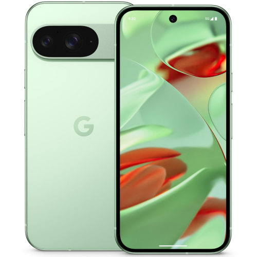 Google Pixel 9 5G 12GB 256GB Wintergreen
