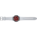 Smartwatch Samsung Galaxy Watch 6 R950 43mm BT Silver